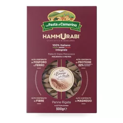 La Pasta di Camerino Hammurabi Penne 500g thumbnail-1